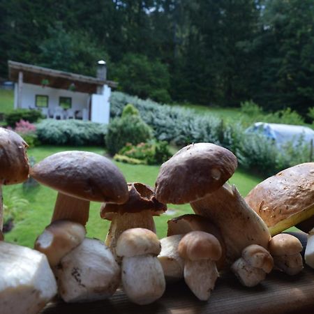Apartmány U Vaců Železná Ruda Exterior foto